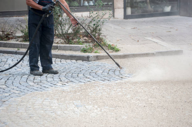 Best Pre-Holiday Cleaning  in Williamsburg, FL