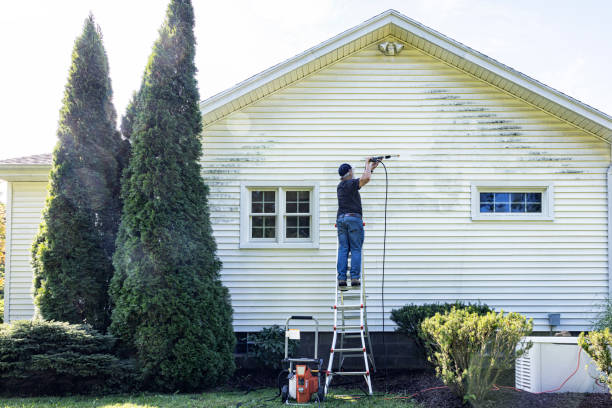 Best Fence Cleaning  in Williamsburg, FL