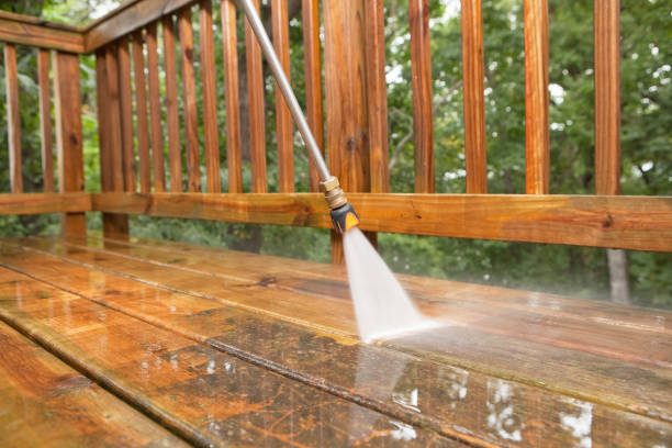 Best Playground Equipment Cleaning  in Williamsburg, FL